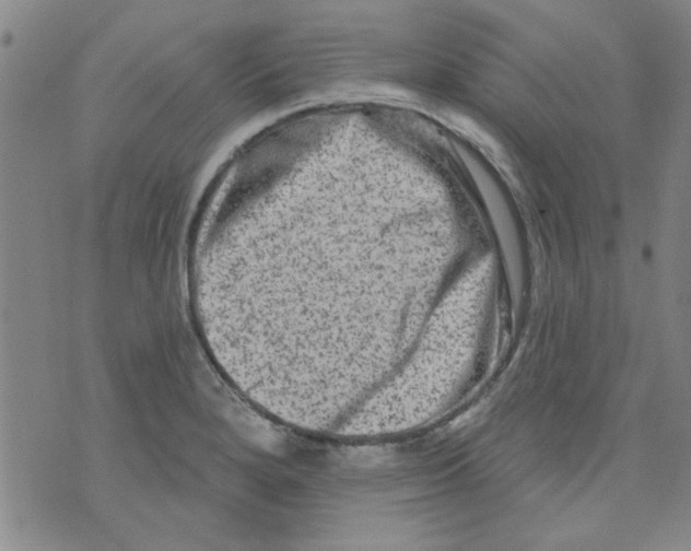 X0000073731280200608311836