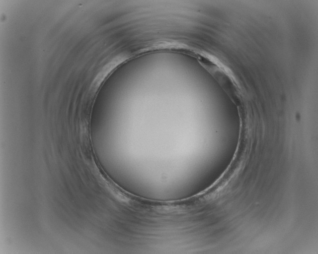 X0000073731281200608311836