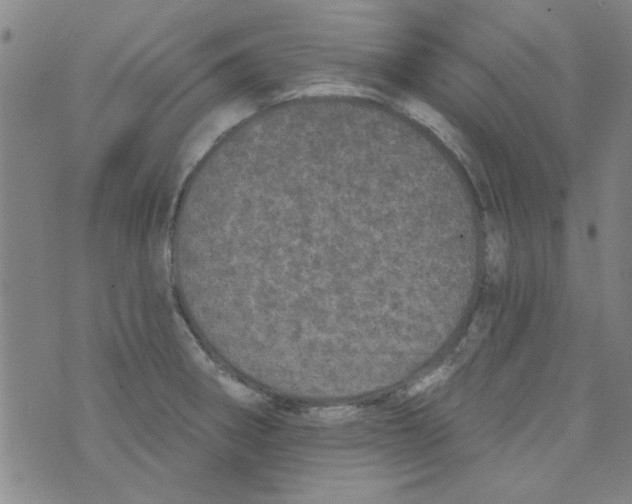 X0000073731282200608311836