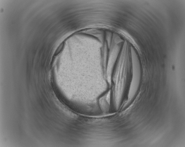 X0000073731284200608311836