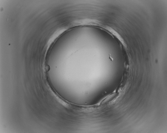 X0000073731285200608311836