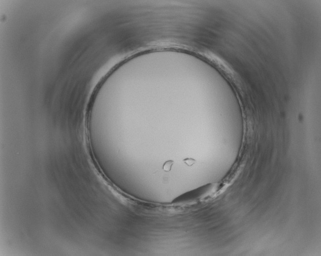 X0000073731286200608311836