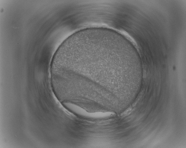 X0000073731287200608311836