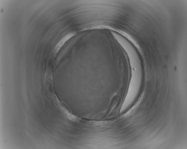 X0000073731289200608311836