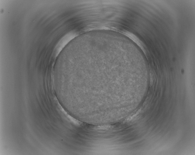 X0000073731290200608311836