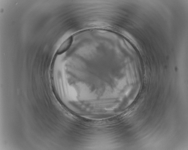 X0000073731291200608311836