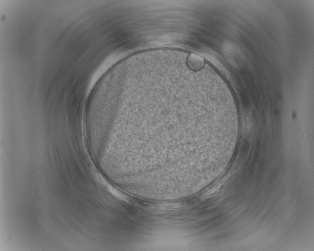 X0000073731294200608311836