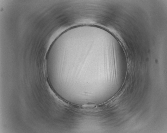 X0000073731295200608311836