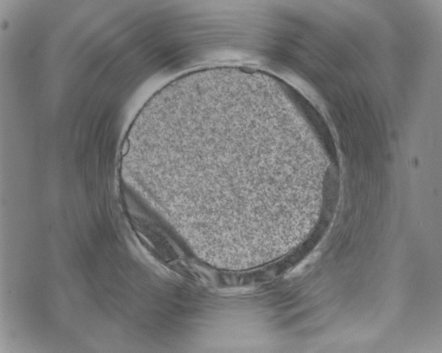 X0000073731296200608311836