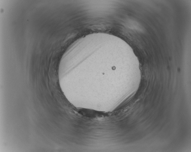 X0000073731297200608311835