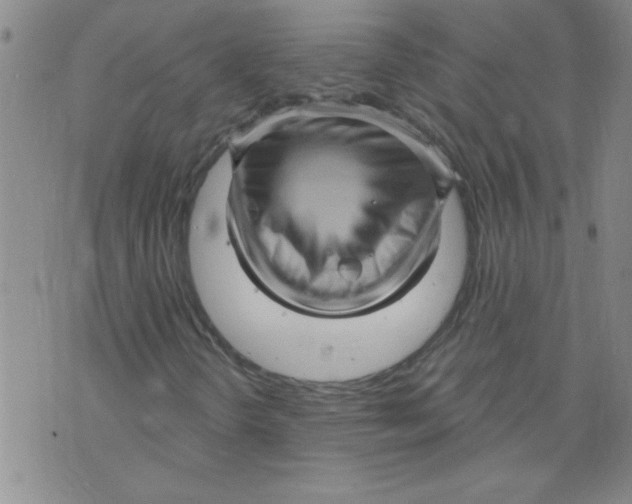 X0000073731298200608311835