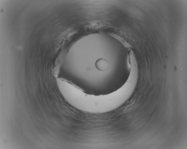 X0000073731299200608311835