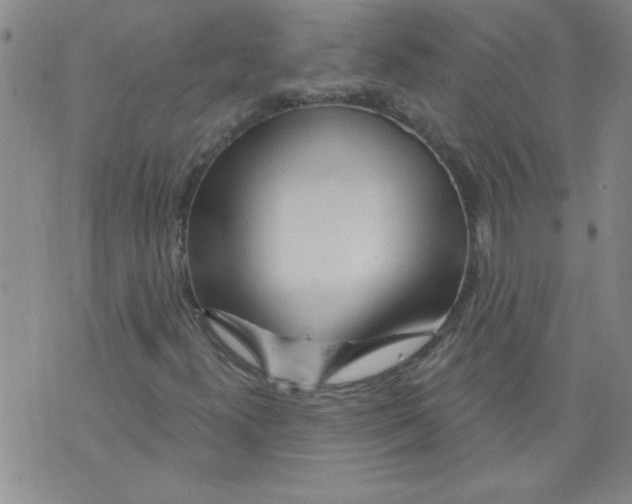 X0000073731300200608311835