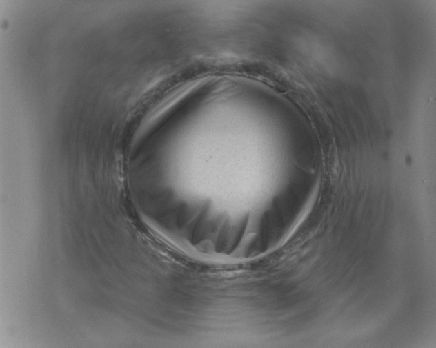 X0000073731301200608311835