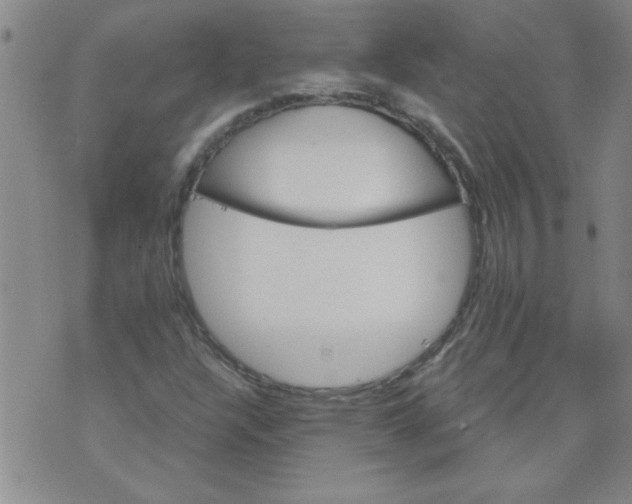 X0000073731304200608311835