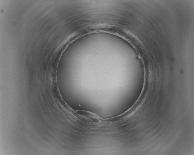 X0000073731305200608311835