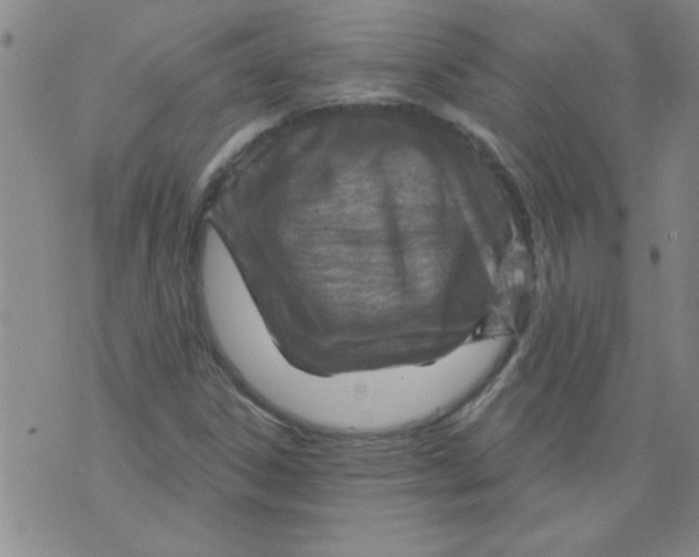 X0000073731306200608311835