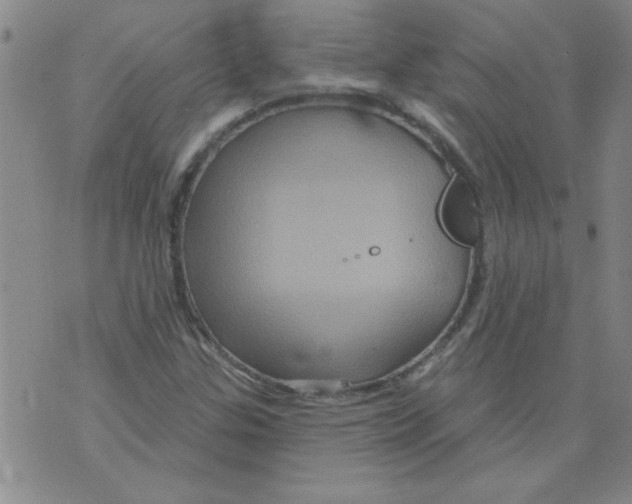 X0000073731307200608311835