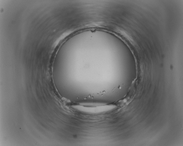 X0000073731308200608311835