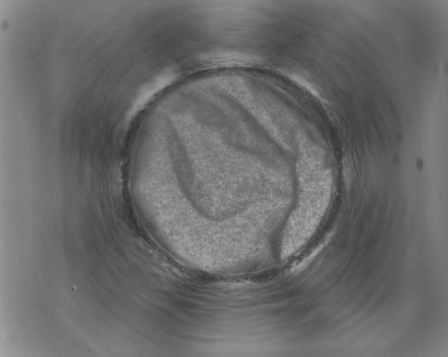 X0000073731309200608311835