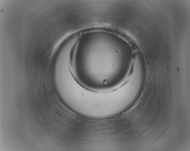 X0000073731310200608311835