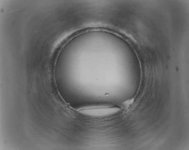 X0000073731311200608311835