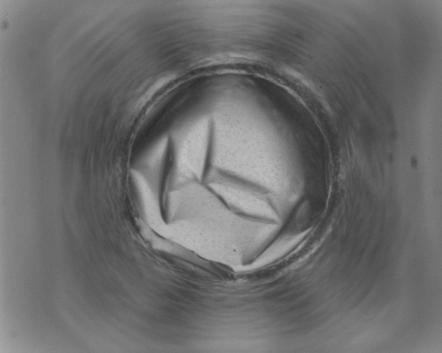 X0000073731313200608311835