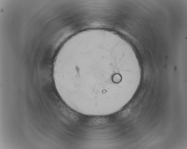 X0000073731314200608311835