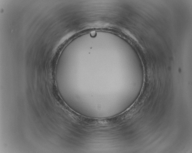 X0000073731315200608311835