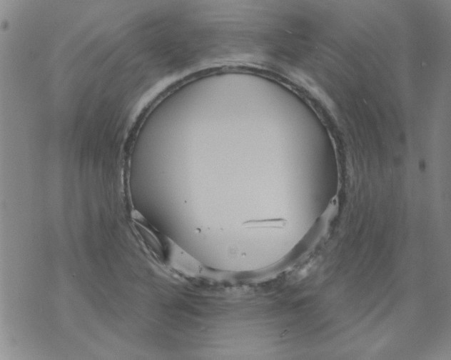 X0000073731316200608311835