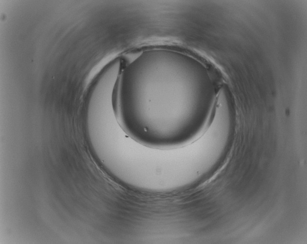 X0000073731317200608311835