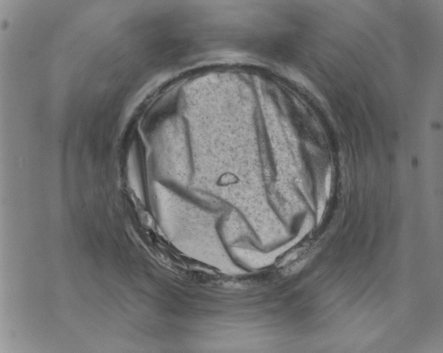 X0000073731318200608311835