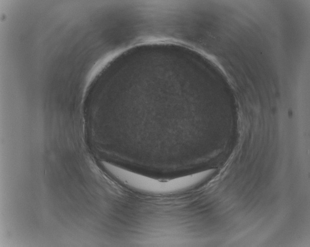 X0000073731319200608311835