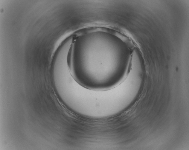 X0000073731320200608311835