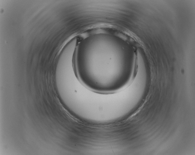 X0000073731321200608311835