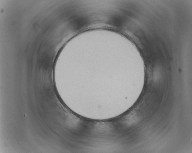 X0000073731322200608311835