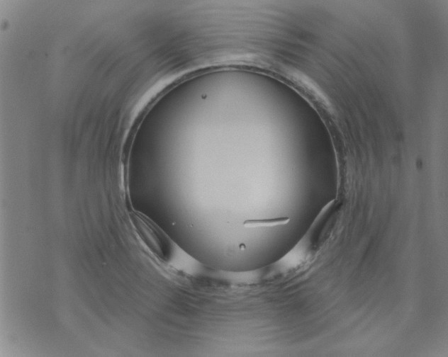 X0000073731324200608311835