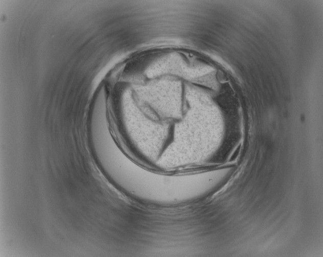 X0000073731325200608311835