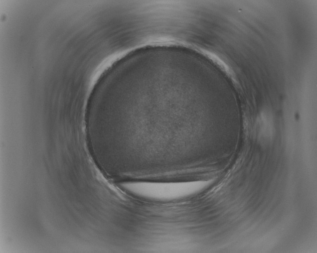 X0000073731327200608311835