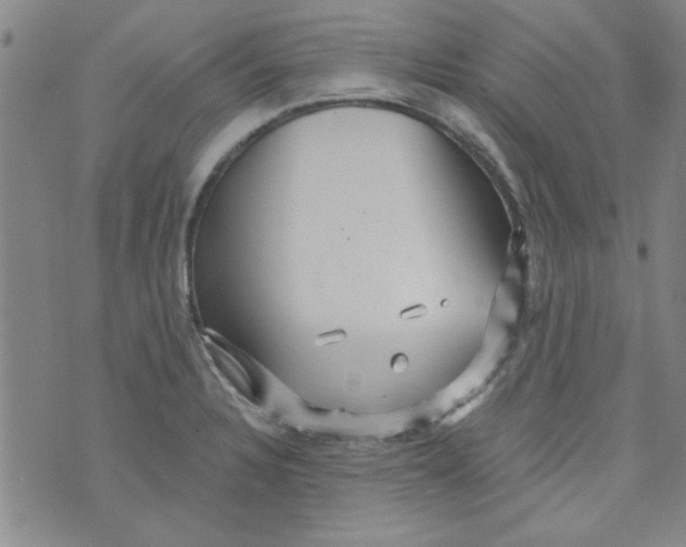 X0000073731328200608311835