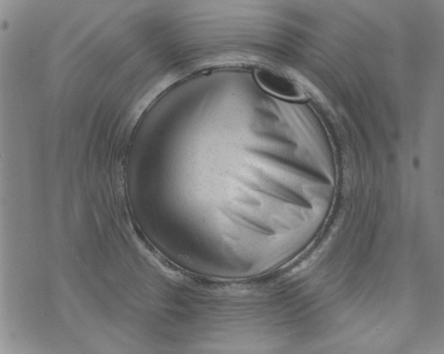 X0000073731329200608311835