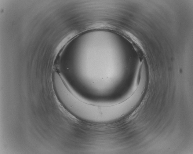 X0000073731330200608311835