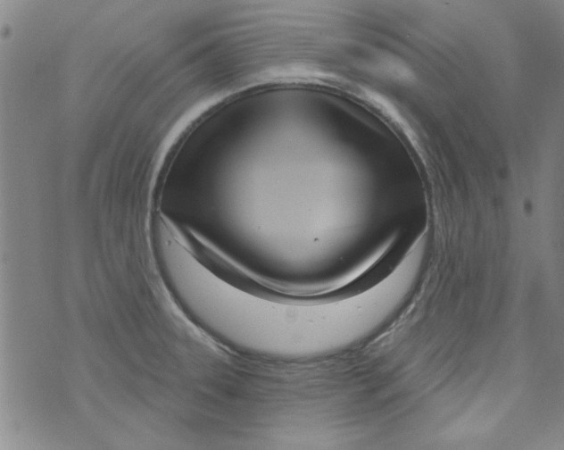 X0000073731331200608311835