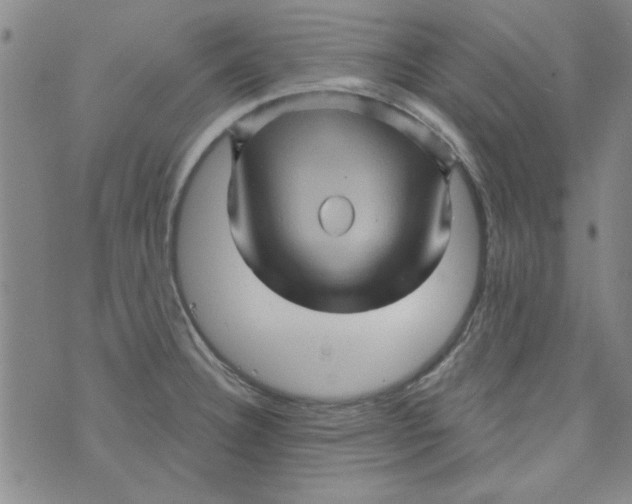 X0000073731332200608311835