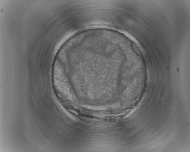 X0000073731333200608311835