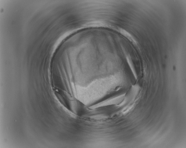 X0000073731334200608311835