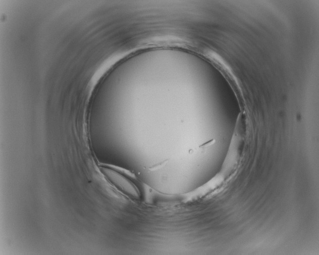 X0000073731336200608311835