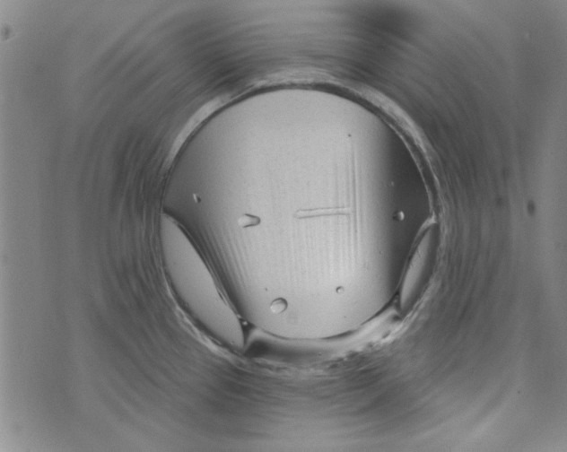 X0000073731337200608311835