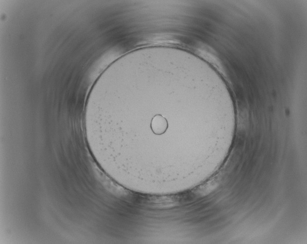 X0000073731338200608311835