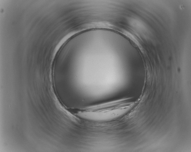 X0000073731339200608311835